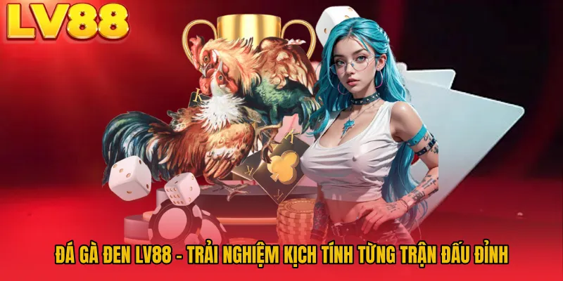 Đá Gà Đen LV88 - Trải Nghiệm Kịch Tính Từng Trận Đấu Đỉnh
